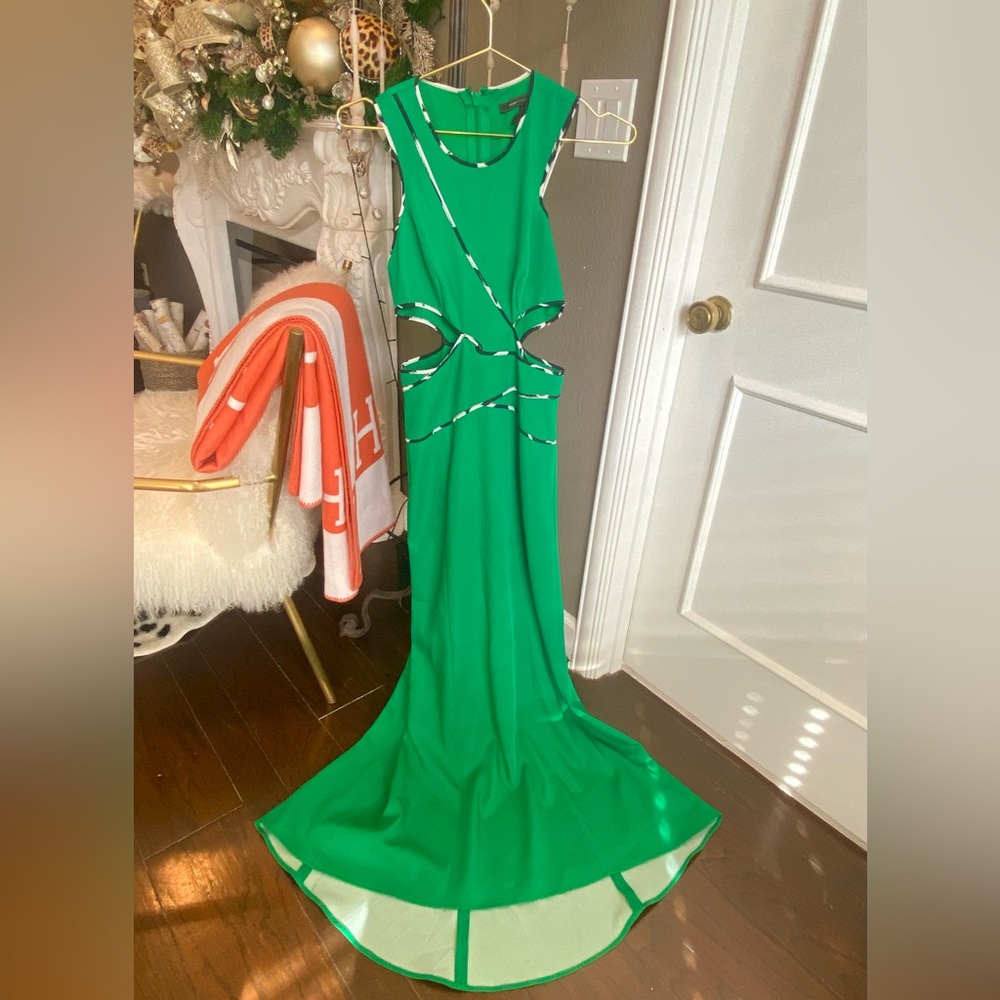 Green Dress with Black and White Lining